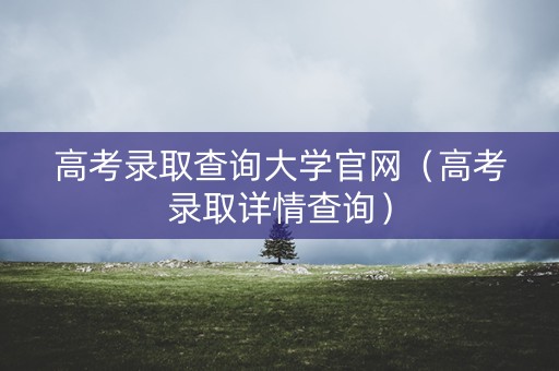 高考录取查询大学官网（高考录取详情查询）