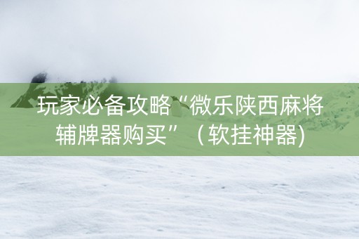 玩家必备攻略“微乐陕西麻将辅牌器购买”（软挂神器)