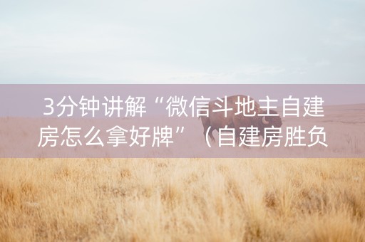 3分钟讲解“微信斗地主自建房怎么拿好牌”（自建房胜负规律)