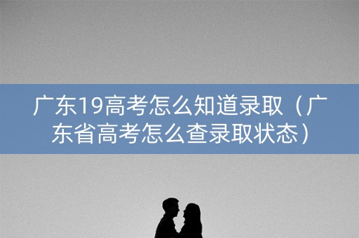 广东19高考怎么知道录取（广东省高考怎么查录取状态）