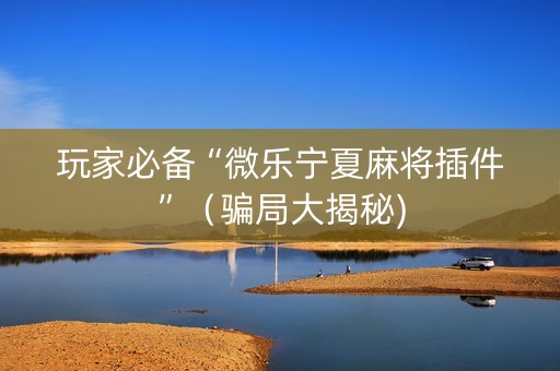 玩家必备“微乐宁夏麻将插件”（骗局大揭秘)