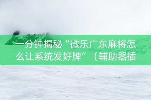 一分钟揭秘“微乐广东麻将怎么让系统发好牌”（辅助器插件)