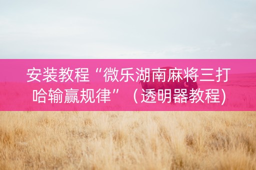 安装教程“微乐湖南麻将三打哈输赢规律”（透明器教程)