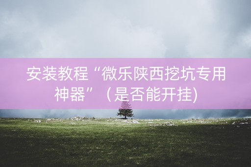 安装教程“微乐陕西挖坑专用神器”（是否能开挂)