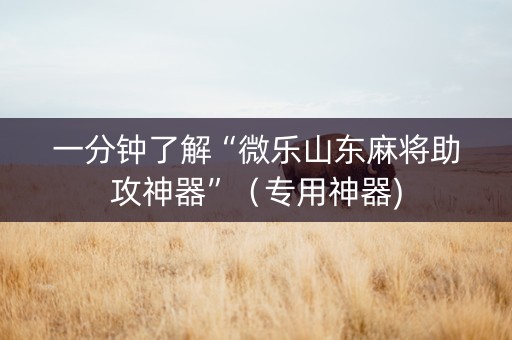 一分钟了解“微乐山东麻将助攻神器”（专用神器)
