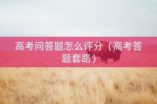 高考问答题怎么评分（高考答题套路）