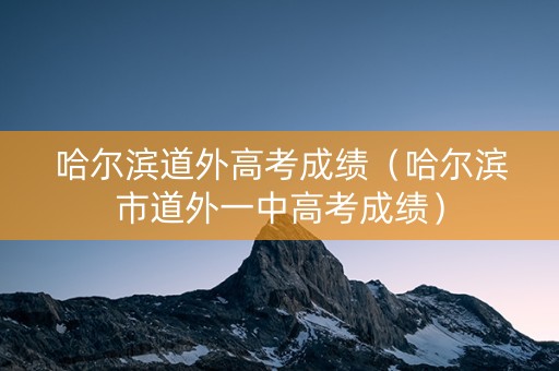 哈尔滨道外高考成绩（哈尔滨市道外一中高考成绩）