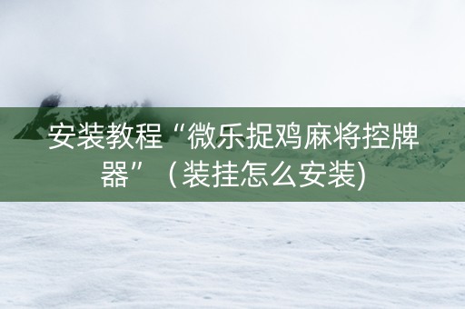 安装教程“微乐捉鸡麻将控牌器”（装挂怎么安装)