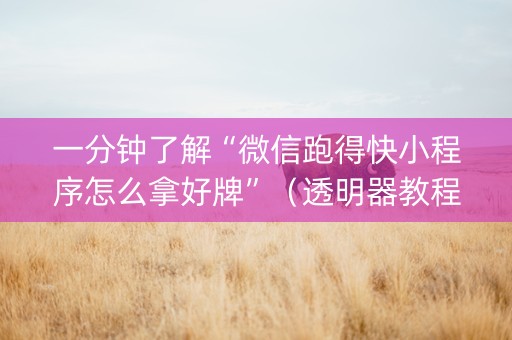 一分钟了解“微信跑得快小程序怎么拿好牌”（透明器教程)