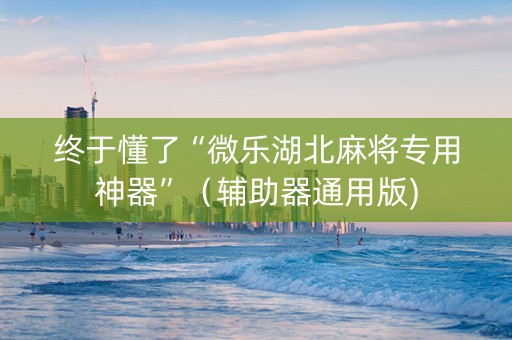 终于懂了“微乐湖北麻将专用神器”（辅助器通用版)