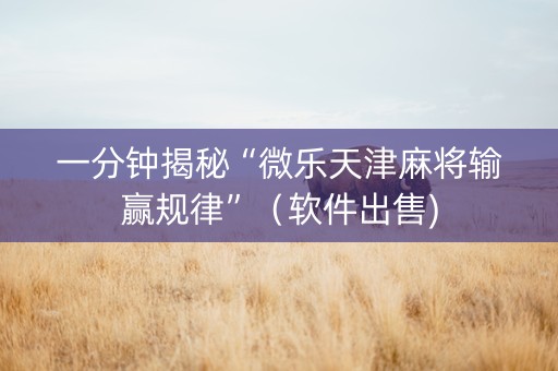 一分钟揭秘“微乐天津麻将输赢规律”（软件出售)