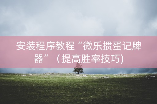 安装程序教程“微乐掼蛋记牌器”（提高胜率技巧)