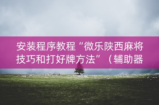 安装程序教程“微乐陕西麻将技巧和打好牌方法”（辅助器下载)