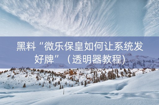 黑料“微乐保皇如何让系统发好牌”（透明器教程)
