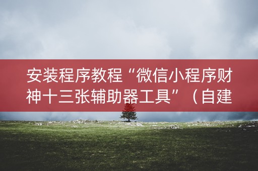 安装程序教程“微信小程序财神十三张辅助器工具”（自建房怎么拿好牌)