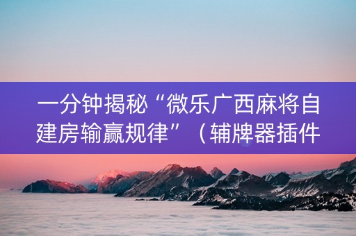 一分钟揭秘“微乐广西麻将自建房输赢规律”（辅牌器插件购买)