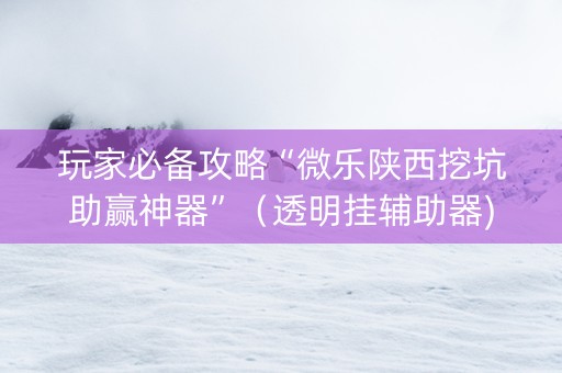 玩家必备攻略“微乐陕西挖坑助赢神器”（透明挂辅助器)