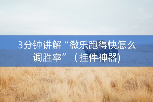 3分钟讲解“微乐跑得快怎么调胜率”（挂件神器)