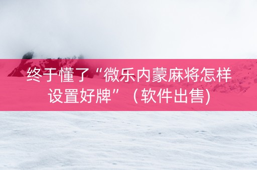 终于懂了“微乐内蒙麻将怎样设置好牌”（软件出售)