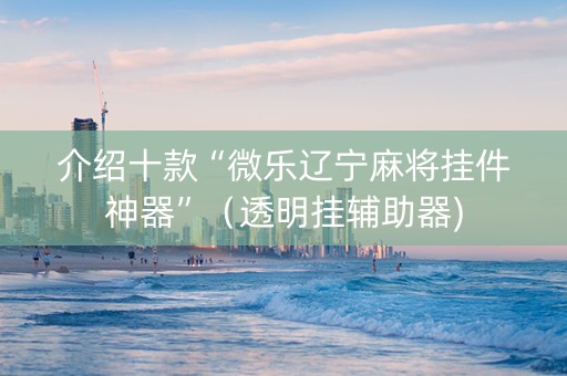 介绍十款“微乐辽宁麻将挂件神器”（透明挂辅助器)