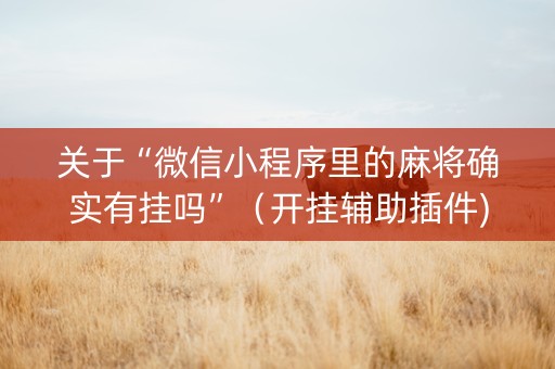 关于“微信小程序里的麻将确实有挂吗”（开挂辅助插件)