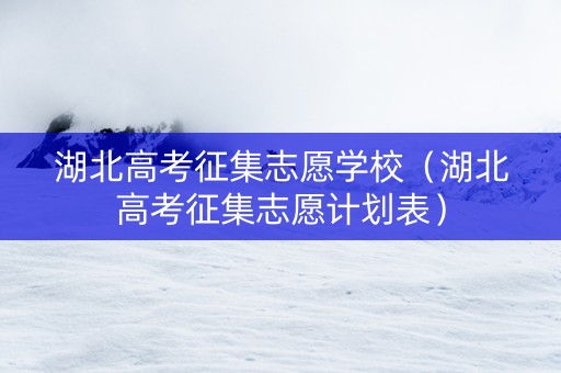 湖北高考征集志愿学校（湖北高考征集志愿计划表）