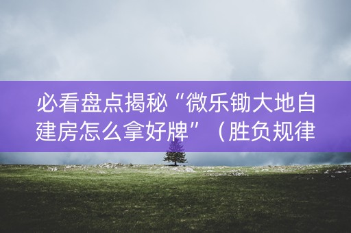 必看盘点揭秘“微乐锄大地自建房怎么拿好牌”（胜负规律拿好牌)