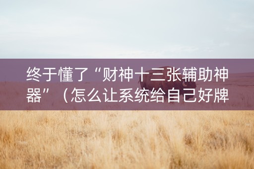 终于懂了“财神十三张辅助神器”（怎么让系统给自己好牌)