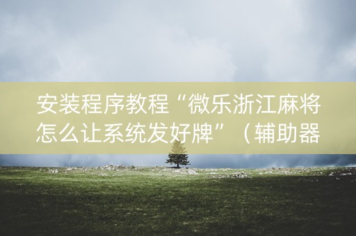 安装程序教程“微乐浙江麻将怎么让系统发好牌”（辅助器插件)