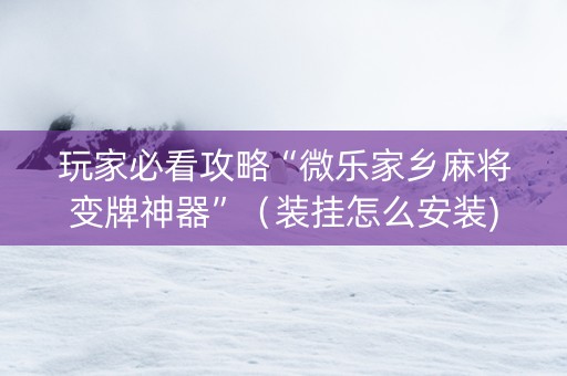 玩家必看攻略“微乐家乡麻将变牌神器”（装挂怎么安装)