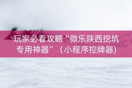 玩家必看攻略“微乐陕西挖坑专用神器”（小程序控牌器)