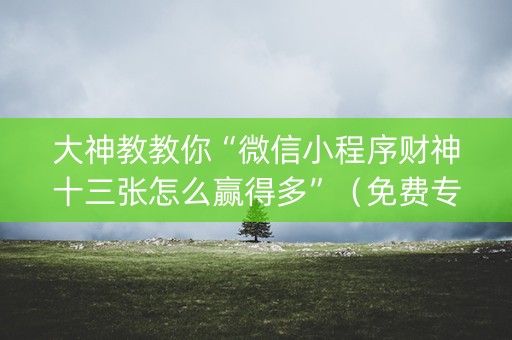 大神教教你“微信小程序财神十三张怎么赢得多”（免费专用神器)
