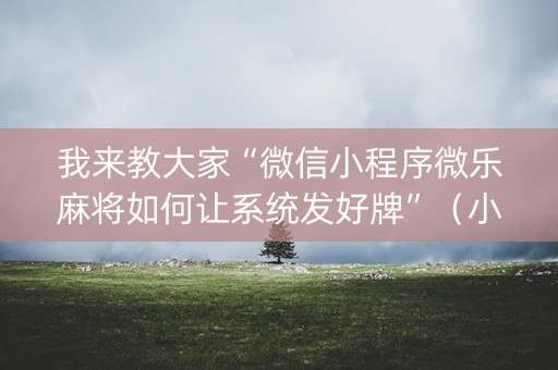 我来教大家“微信小程序微乐麻将如何让系统发好牌”（小程序辅助软件)