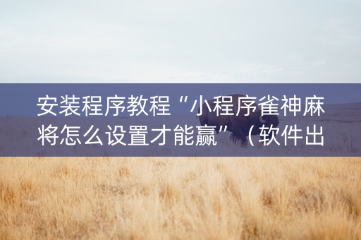 安装程序教程“小程序雀神麻将怎么设置才能赢”（软件出售)