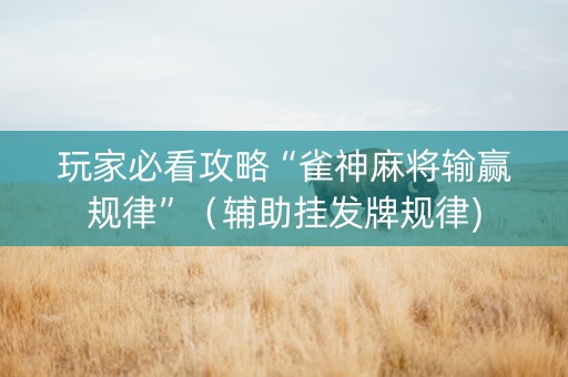玩家必看攻略“雀神麻将输赢规律”（辅助挂发牌规律)