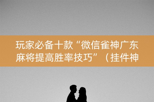 玩家必备十款“微信雀神广东麻将提高胜率技巧”（挂件神器)