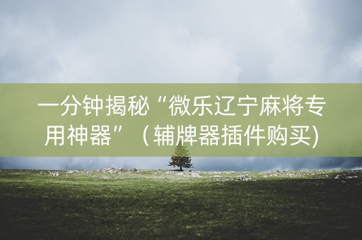 一分钟揭秘“微乐辽宁麻将专用神器”（辅牌器插件购买)