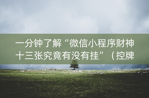 一分钟了解“微信小程序财神十三张究竟有没有挂”（控牌神器)