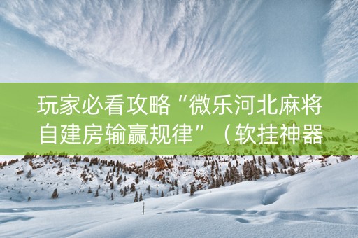 玩家必看攻略“微乐河北麻将自建房输赢规律”（软挂神器)