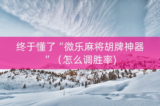 终于懂了“微乐麻将胡牌神器”（怎么调胜率)