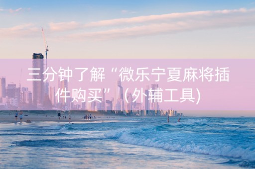 三分钟了解“微乐宁夏麻将插件购买”（外辅工具)