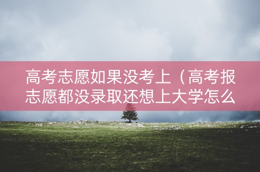 高考志愿如果没考上（高考报志愿都没录取还想上大学怎么办）