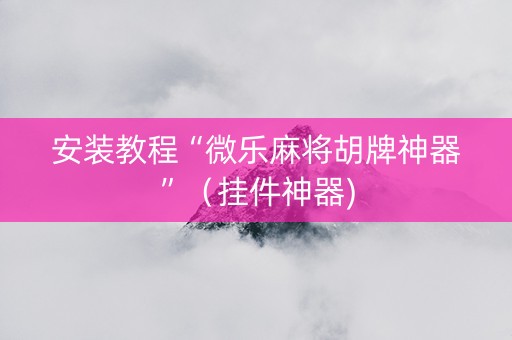安装教程“微乐麻将胡牌神器”（挂件神器)