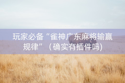 玩家必备“雀神广东麻将输赢规律”（确实有插件吗)