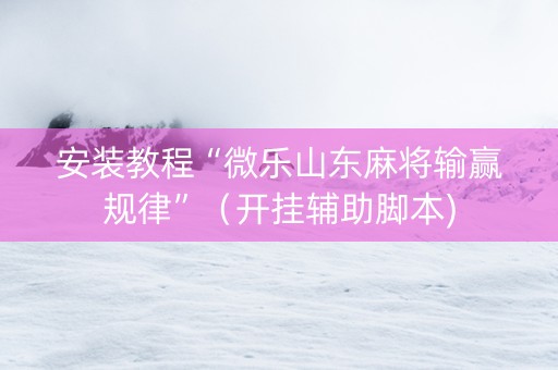 安装教程“微乐山东麻将输赢规律”（开挂辅助脚本)