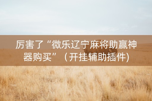 厉害了“微乐辽宁麻将助赢神器购买”（开挂辅助插件)