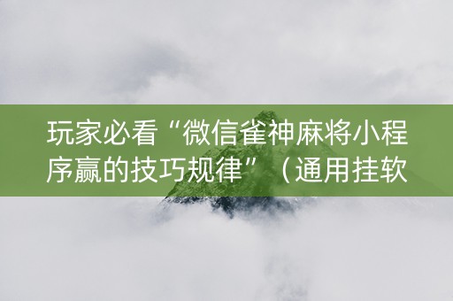 玩家必看“微信雀神麻将小程序赢的技巧规律”（通用挂软件多少钱)