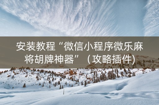 安装教程“微信小程序微乐麻将胡牌神器”（攻略插件)