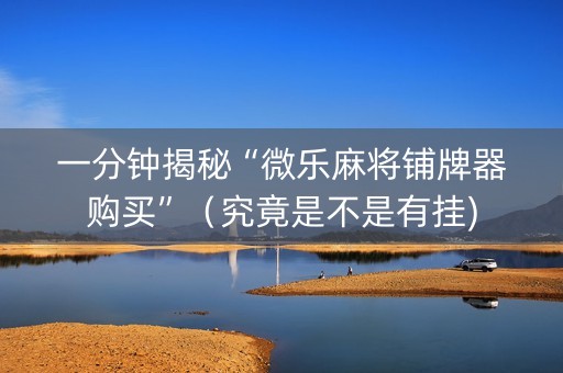 一分钟揭秘“微乐麻将铺牌器购买”（究竟是不是有挂)