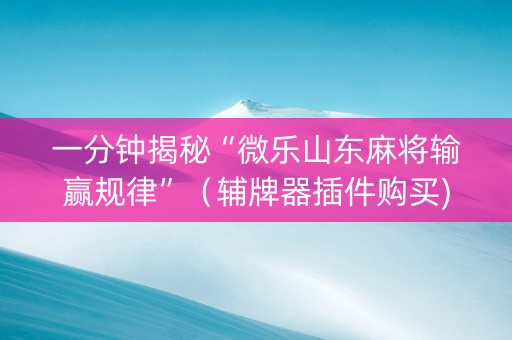 一分钟揭秘“微乐山东麻将输赢规律”（辅牌器插件购买)